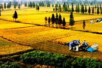 农村改革三箭齐发 已有3亿亩土地进行流转试点